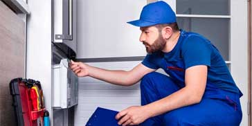 Professional Inspection