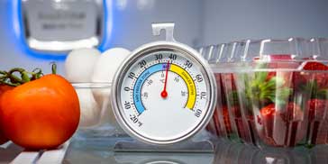  fridge temperature set
