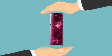 Review Warranty and Guarantees